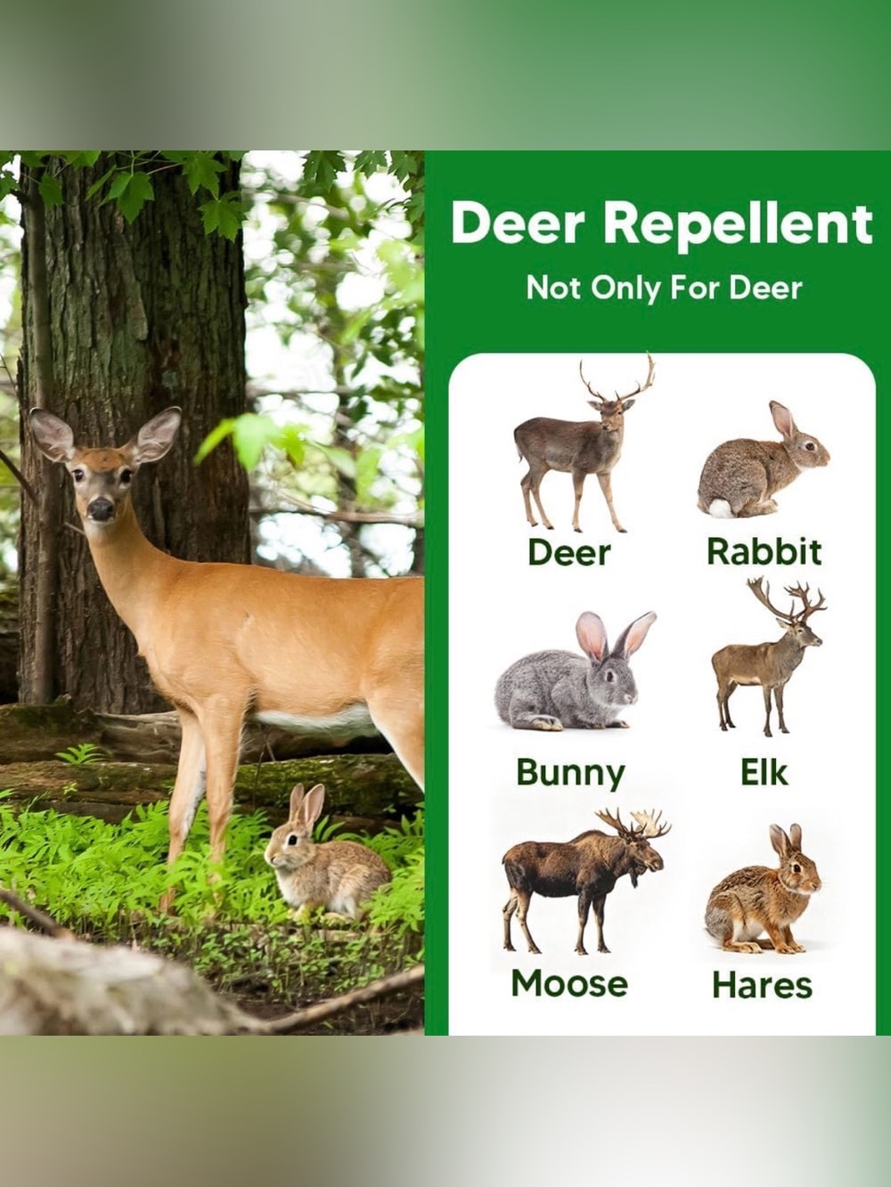 Deer & Rabbit Repellent – 16 Pack - Picture 4 of 9